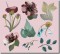 BFC0535 Floral Expressions I - Elements