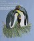 BFC0537 Penguins