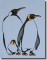 BFC0537 Penguins