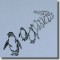 BFC0537 Penguins