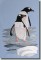 BFC0537 Penguins