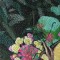 BFC0540 Butterflies