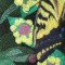 BFC0540 Butterflies