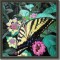 BFC0540 Butterflies
