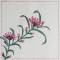 BFC0542 Floral Expressions II