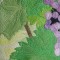 BFC0544 Window - Grapes