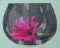 BFC0547 Still Life