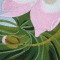 BFC0548 Floral Expressions III