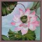 BFC0548 Floral Expressions III