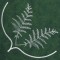 BFC0549 Floral Gardens Lace