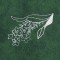 BFC0549 Floral Gardens Lace