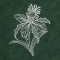 BFC0549 Floral Gardens Lace