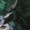 BFC0550 Window - Owl