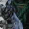 BFC0550 Window - Owl