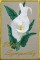 BFC0551 Postcards - All Occasion