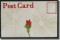 BFC0551 Postcards - All Occasion