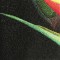 BFC0554 Bird of Paradise