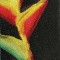 BFC0554 Bird of Paradise