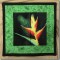 BFC0554 Bird of Paradise