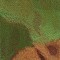 BFC0557 Window-Lion