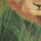 BFC0557 Window-Lion