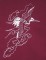 BFC0558 Oriental Lace - Fauna