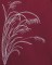 BFC0558 Oriental Lace - Fauna