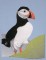 BFC0563 Puffins