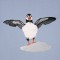 BFC0563 Puffins