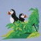 BFC0563 Puffins
