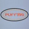 BFC0563 Puffins