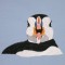 BFC0563 Puffins