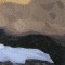 BFC0564 Window-Snow Leopard