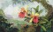 BFC0569 Window - Orchids & The Hummingbird