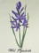BFC0571 Wildflowers