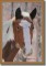 BFC0572 Window-Horse II