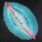 BFC0579 Outer Space