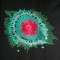 BFC0579 Outer Space