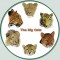 BFC0584 The Big Cats