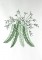 BFC0589 Crystal Flowers