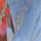 BFC0590 Window-A Cardinal