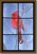 BFC0590 Window-A Cardinal