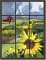 BFC0593 Window - Sunflowers and Finches