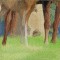 BFC0599 Window - Mother and Child