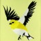 BFC0603 Sunflowers and Finches Designs