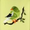 BFC0603 Sunflowers and Finches Designs