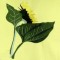 BFC0603 Sunflowers and Finches Designs