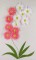BFC0607 Eye Popping Posies