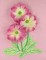 BFC0607 Eye Popping Posies