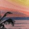 BFC0612 Window - Sunrise on a Florida Beach